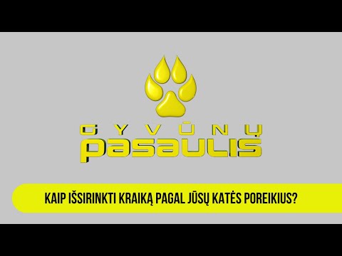 Gyvūnų pasaulis: kaip išsirinkti kraiką, pagal Jūsų katės poreikius?