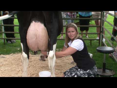 Annie Cooke's Dairy Story