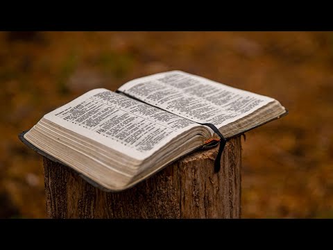 KTF News - Young Brits Open to Banning the Bible ‘Unless the Offended Parts Can Be Edited Out’