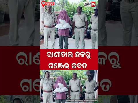 ରାଣୀ ତାଲ ଛକରୁ ଗଞ୍ଜେଇ ଜବତ ! ganjei seized
