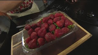 Michael Marks Content