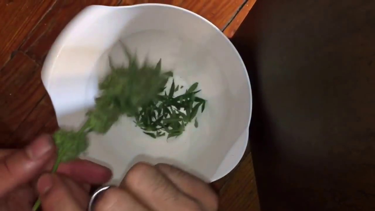 Показываю, как я обрезаю свои соцветия перед сушкой.