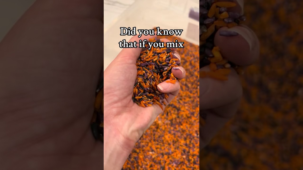 Easy sensory bin rice! Easy enough to make in your favorite colors throughout the year. DIY mama!