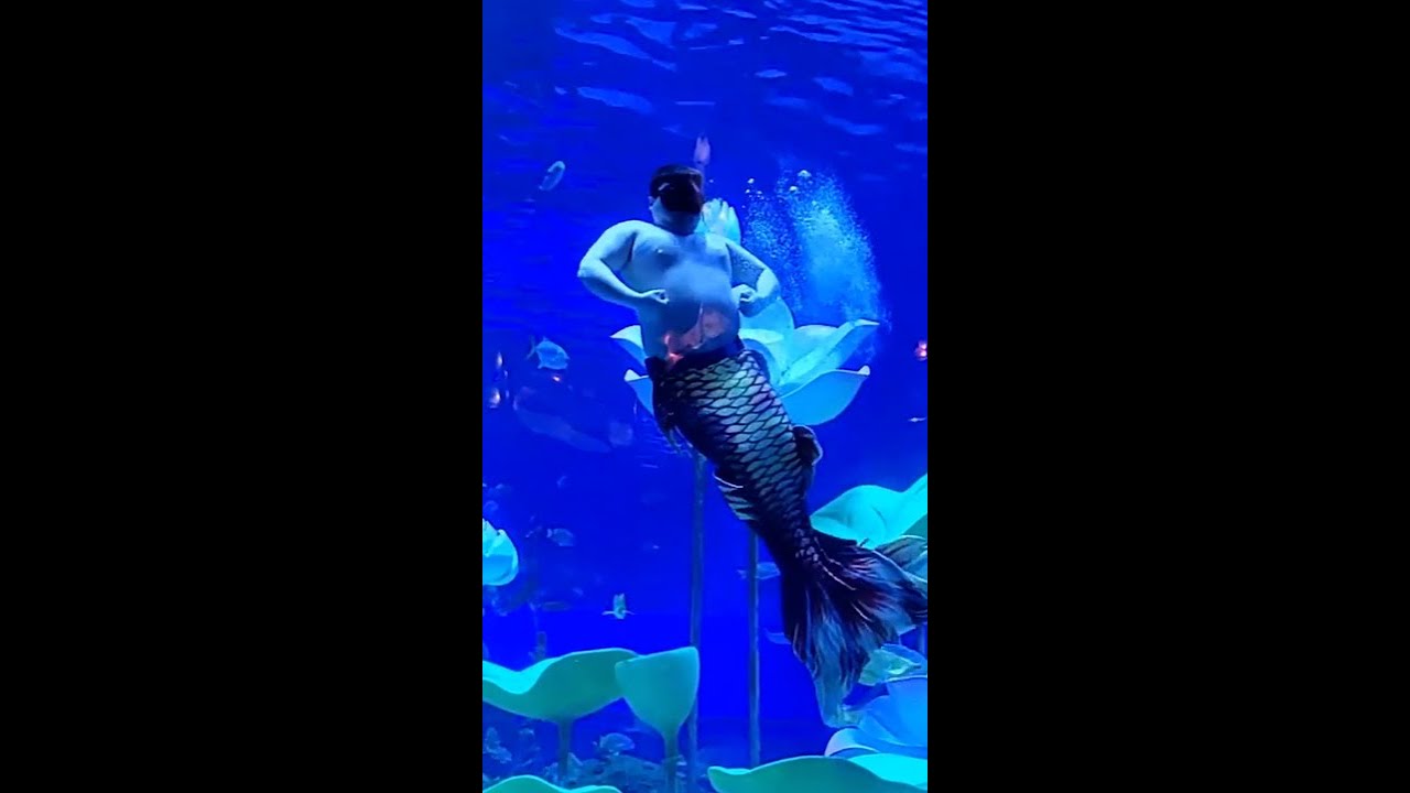 Plus size Merman is a hit at aquarium in China