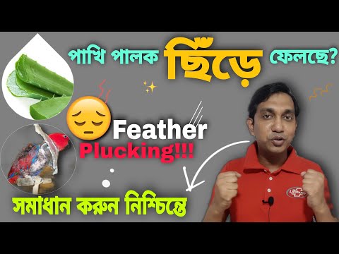 ভিডিও: প্লাকিং মানে কি?