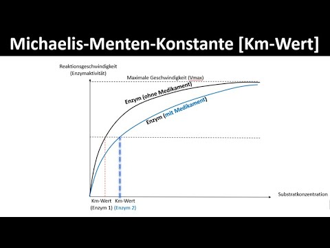 Michaelis-Menten constant [kinetics] - Km value - [biology, enzymology, upper secondary level]