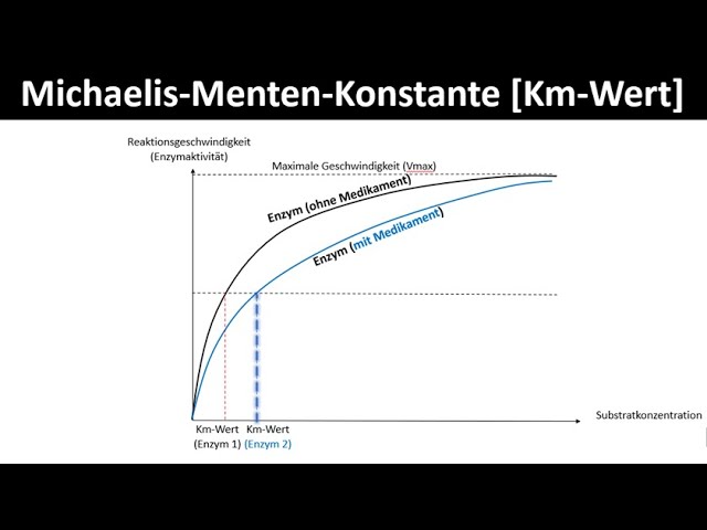 Michaelis-Menten-Konstante [Kinetik] - Km-Wert - [Biologie, Enzymatik,  Oberstufe]