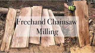 Freehand Chainsaw Milling
