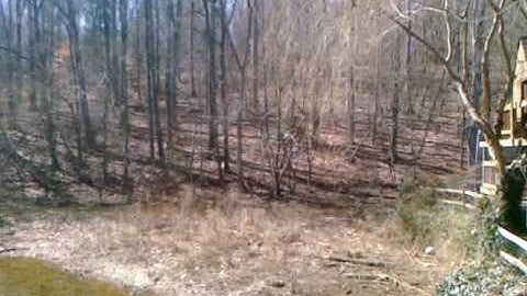 Initial Palm Pre Video Recorder test webOS 1.4