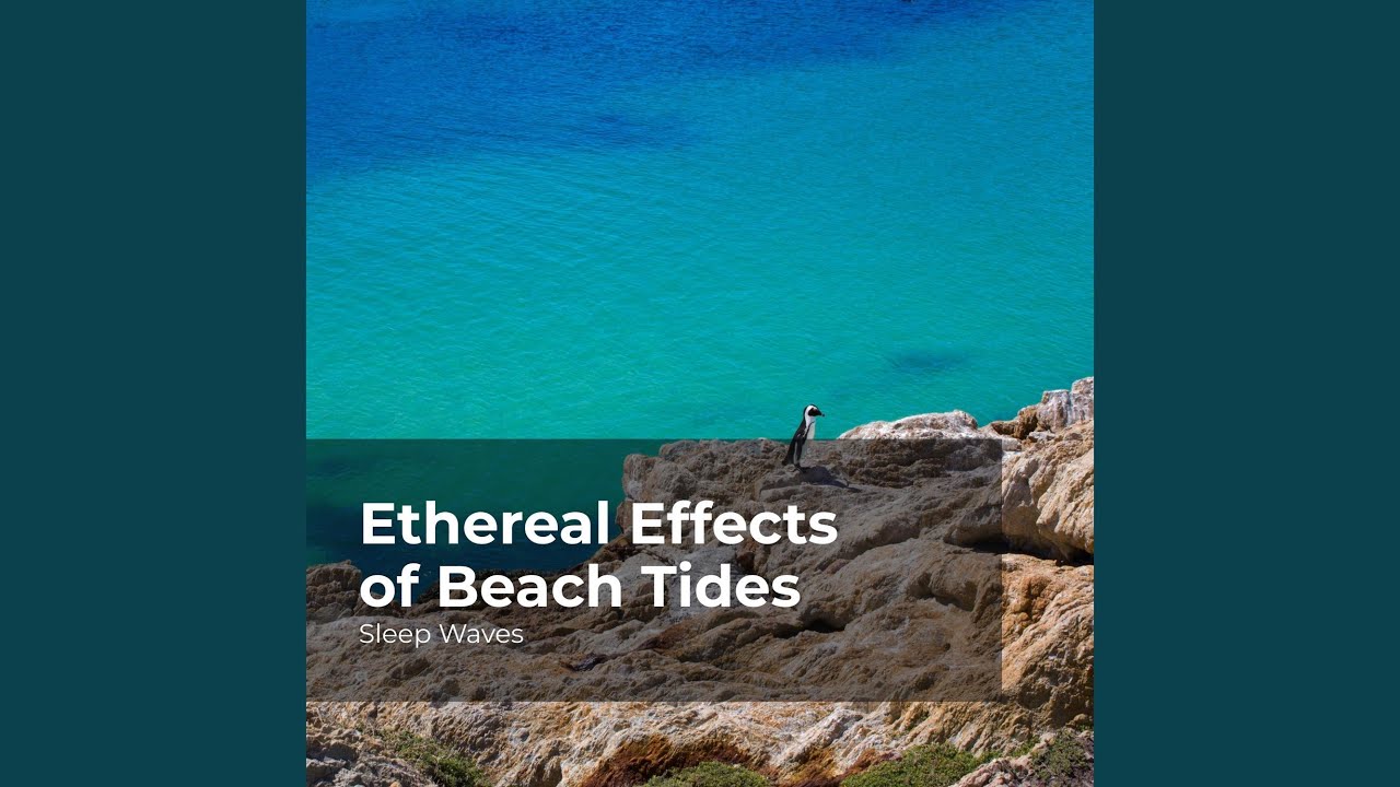 Beach Rising Tides Rising Tides Overnight - YouTube