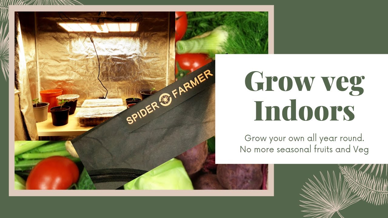 Spider Farmer 2' x 4' Grow Tent || SF2000 LED Full Spectrum Dimmable Grow Light Unboxing and Set up