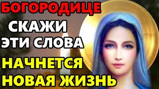 СКАЖИ СЕЙЧАС БОГОРОДИЦА ЖДЕТ ОТ ТЕБЯ ЭТУ МОЛИТВУ! Сильная Молитва Богородице! Православие