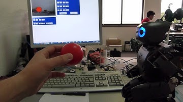 DARwIn-OP Default Head Tracking