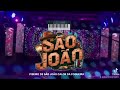 🎶 Piseiro de São João – Calor da Fogueira | DJ Sandro Remix 🎶