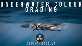 Colour Grading A Underwater GoPro Clip in Davinci Resolve 17 by Ryuta Ogawa 12,838 views 3 years ago 7 minutes, 20 seconds