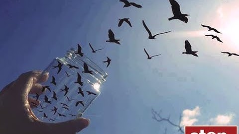 Stop National Slavery In Eritrea Campaign Theme Song