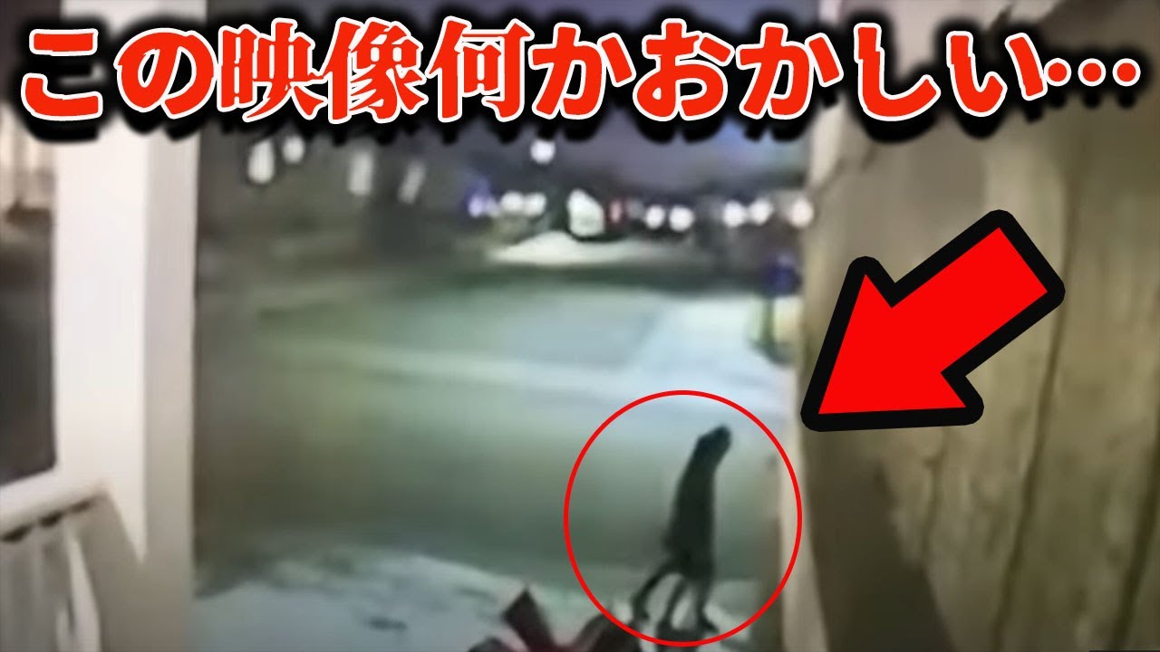 【ゆっくり解説】「背筋が凍った…」世界中を震撼させた洒落にならない戦慄の恐怖映像9選