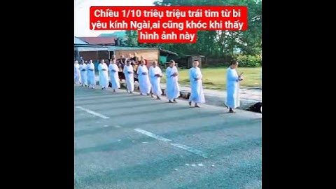 chiều 1/10 triệu triệu trái tim từ bi yêu kính Ngài,ai cũng khóc#suminhtue #shortvideo