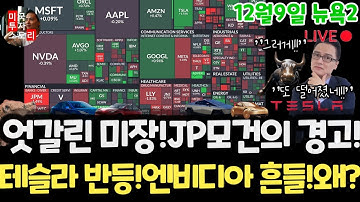 미국주식시황/잘버틴 3가지이유!제이피 모건! 테슬라 반등! 엔비디아? 구글 애플 아마존 메타 마이크로소프트 팔란티어 아이온큐 리게티 브로드컴 오라클 데스티니 DXYZ 스페이스X