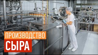 Производство сыра в Башкирии. Белебеевский молочный комбинат
