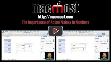 The Importance of Actual Values In Numbers (#1589)