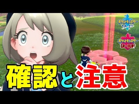 ときわたり ポケモン剣盾