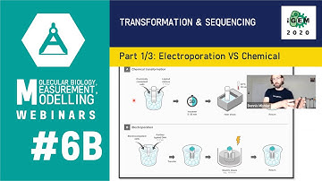 Week #6B: Transformation and Sequencing 1/3: Transformation of E. coli: Electroporation & Chemical
