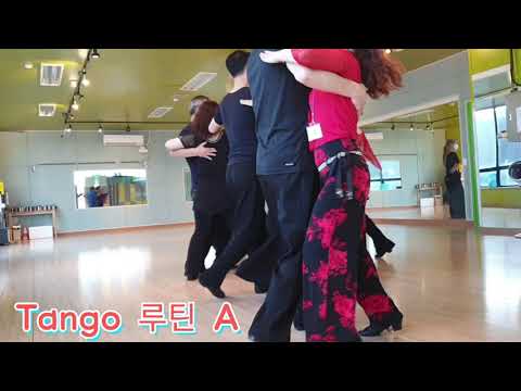 샤리권탱고 A & B 왈츠 포함 6만/분기 18만 031 969 7330