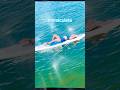 #oceantherapy #paddleboarding #travel