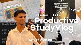 PRODUCTIVE STUDY VLOG 🎧💻 | AESTHETIC STUDY DIARIES | life, classes, study, productive, cozy