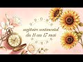 ♐️ SAGITTAIRE : S&Eacute;PARATION LI&Eacute;E &Agrave; UN SECRET... MAIS VOUS VOUS RETROUVEZ PLUS AMOUREUX QUE JAMAIS 💖