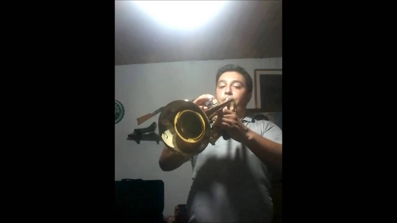 halo beyoncè TRUMPET camera iphone 8 plus apk
