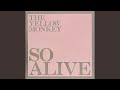 悲しきASIAN BOY -Live Version from SO ALIVE- (Remastered)