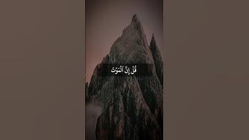 سورة الجمعة بصوت الشيخ أنس العمادي