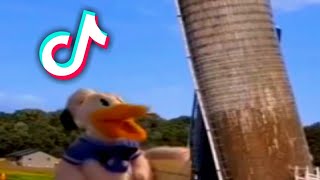 Donald Ducc tiktok compilation | Best Donald Ducc tiktok | Donald Duck tiktok by Saturn 11,021 views 2 years ago 10 minutes, 11 seconds