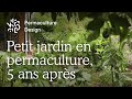 Un jardin en permaculture de moins de 100 m2 retour dexprience 5 ans aprs