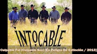 Video thumbnail of "Intocable - Culpable Fui (Culpable Soy) [En Peligro De Extinción / 2013]"