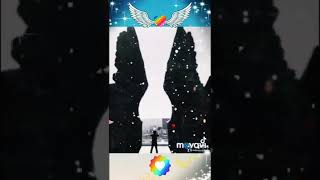 Angelo Con La Diversidad