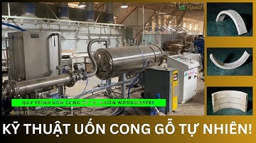 Kỹ thuật và quy trình uốn cong gỗ tự nhiên với nồi hấp cao tần Woodmaster