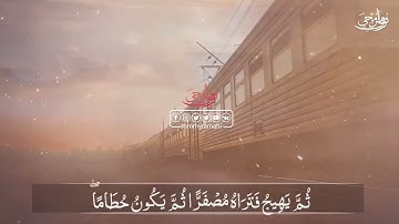 آيات من القرآن الكريم من سورة الحديد للقارئ الشيخ وديع اليمني 😊