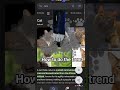 pls subscribe