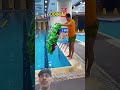 #reelsinstagram