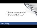 scRNA-seq: Dimension reduction (PCA, tSNE, UMAP)