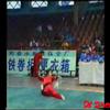 Wushu kungfu old school rules