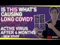 Is THIS What's Causing Long Covid? | Viral Persistence at 4 Months - New Study