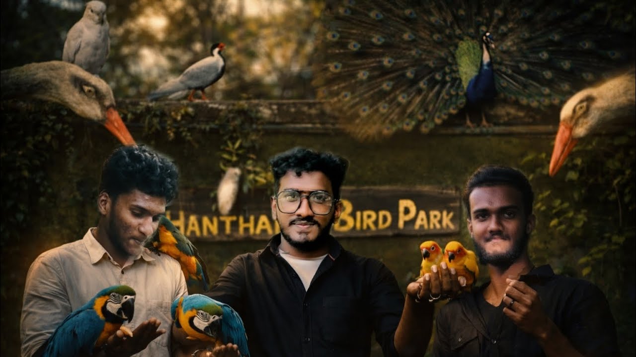 Hanthana birds park full video in tamil  😍🕊🌾ticket price and details in discussion #foryou #wairal