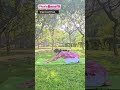 Bowing in humility and gratitude — Guru Pranam Asana #explore #shorts #shortvideo