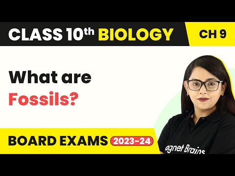 Term 2 Exam Class 10 Biology Chapter 9 | Fossils - Heredity And Evolution