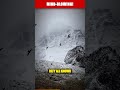 The Mind Upload: A Cosmic Escape from Death?