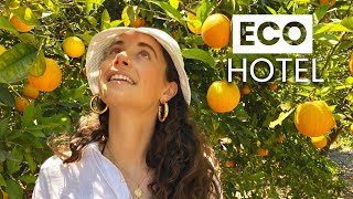 The Most Ecofriendly Hotel In Mallorca | Sustainable Travel & EcoTourism